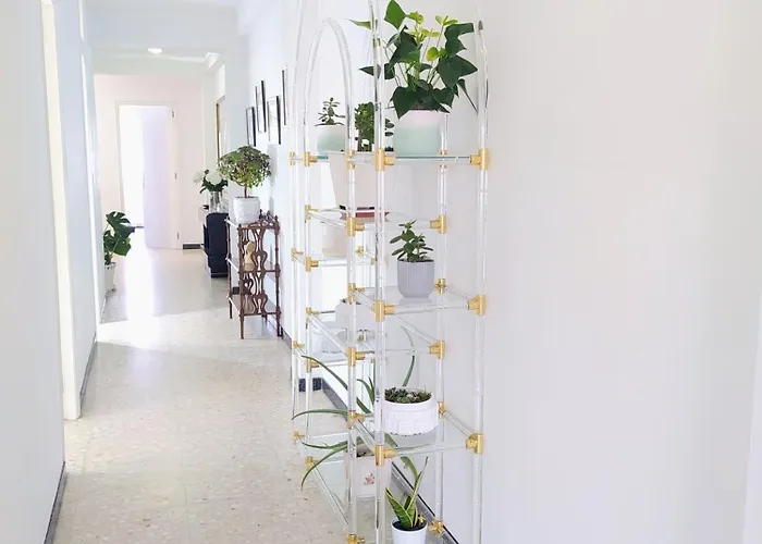 Caldas Centro Appartement Caldas De Reis