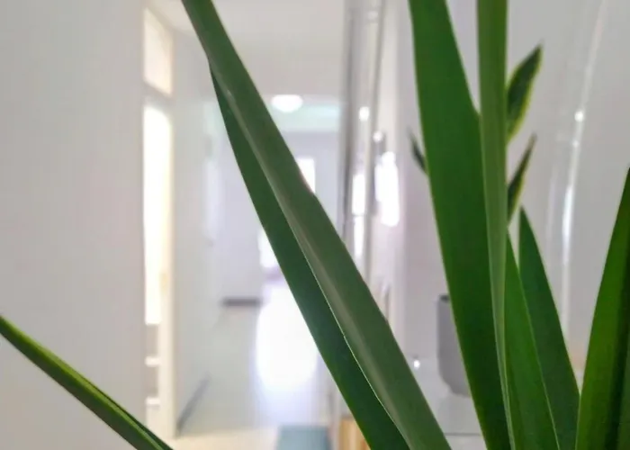 Caldas Centro Appartement *