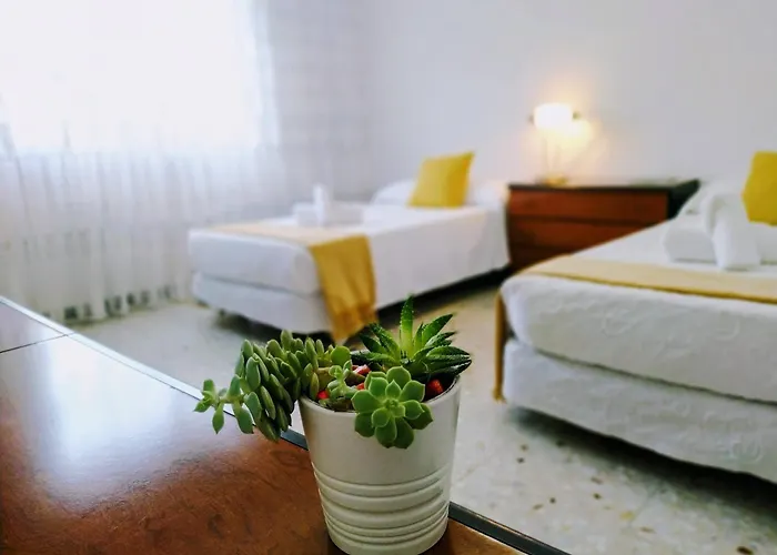 Appartement Caldas Centro *